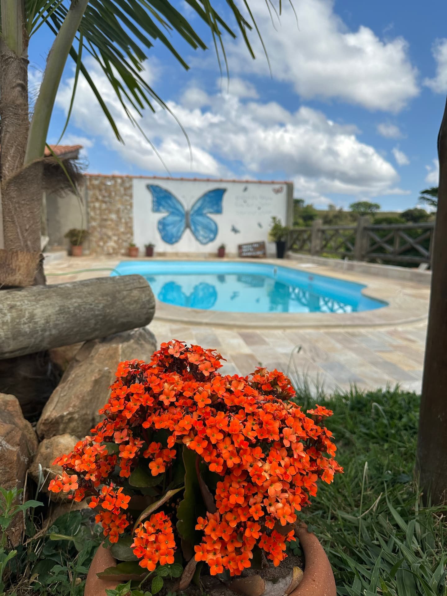 Flores vermelhas em primeiro plano, piscina e mural de borboleta ao fundo.
